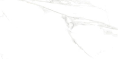 PESPT-NAPWHI2448