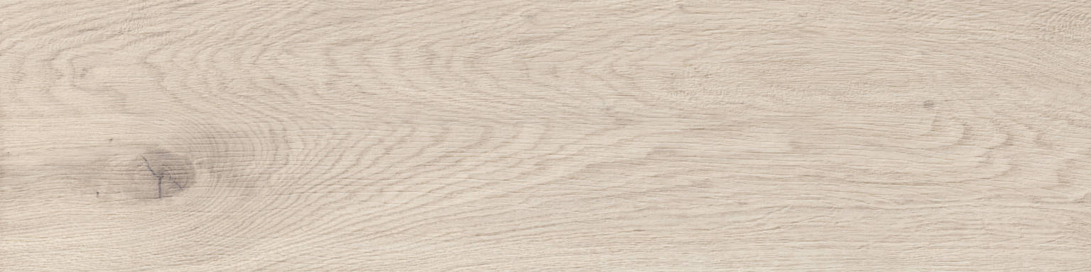 Vasey Maple | Porcemall