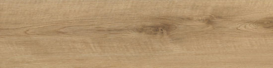 Vasey Oak