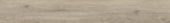 FOREST ROBLE  6.5mm  - STONE PLASTIC COMPOSITE  20 MIL Wear Layer   Attached Underlayment  (1.5 mm pad)     | Porcemall