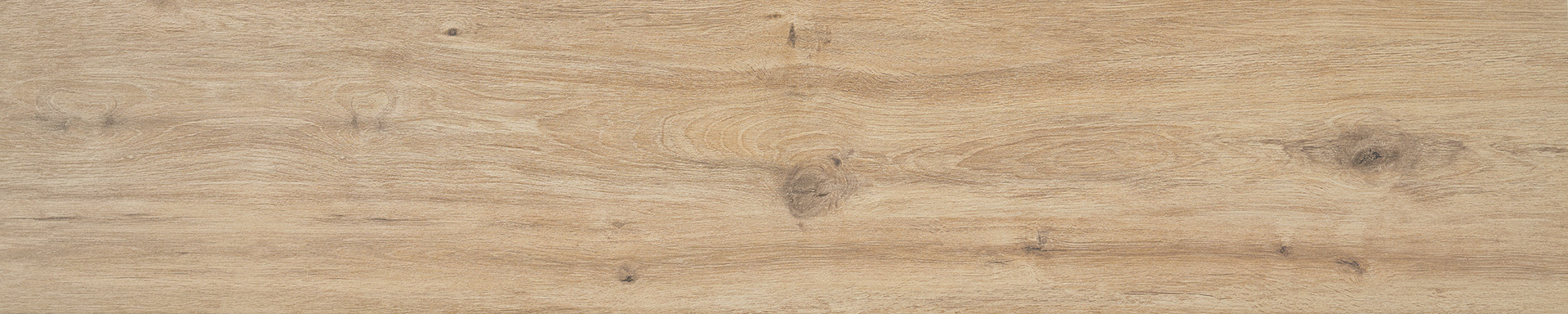 Florida Haya | Porcemall