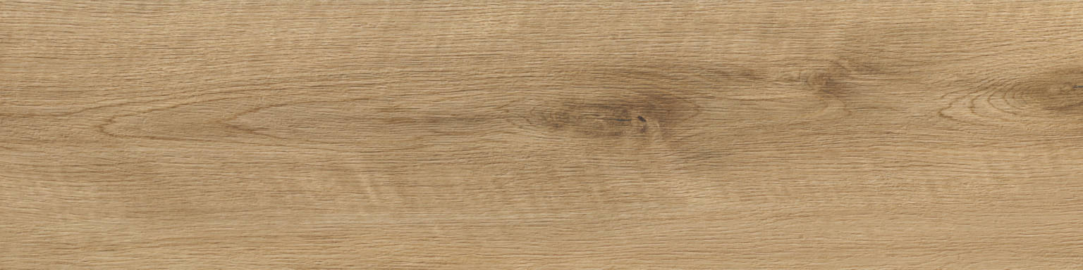 Vasey Oak | Porcemall