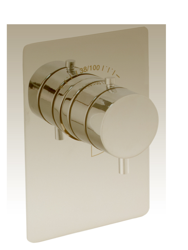 Built-in 1 Outlet Thermostatic Shower | Porcemall