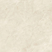MORVEDRE CREMA PULIDO | Porcemall