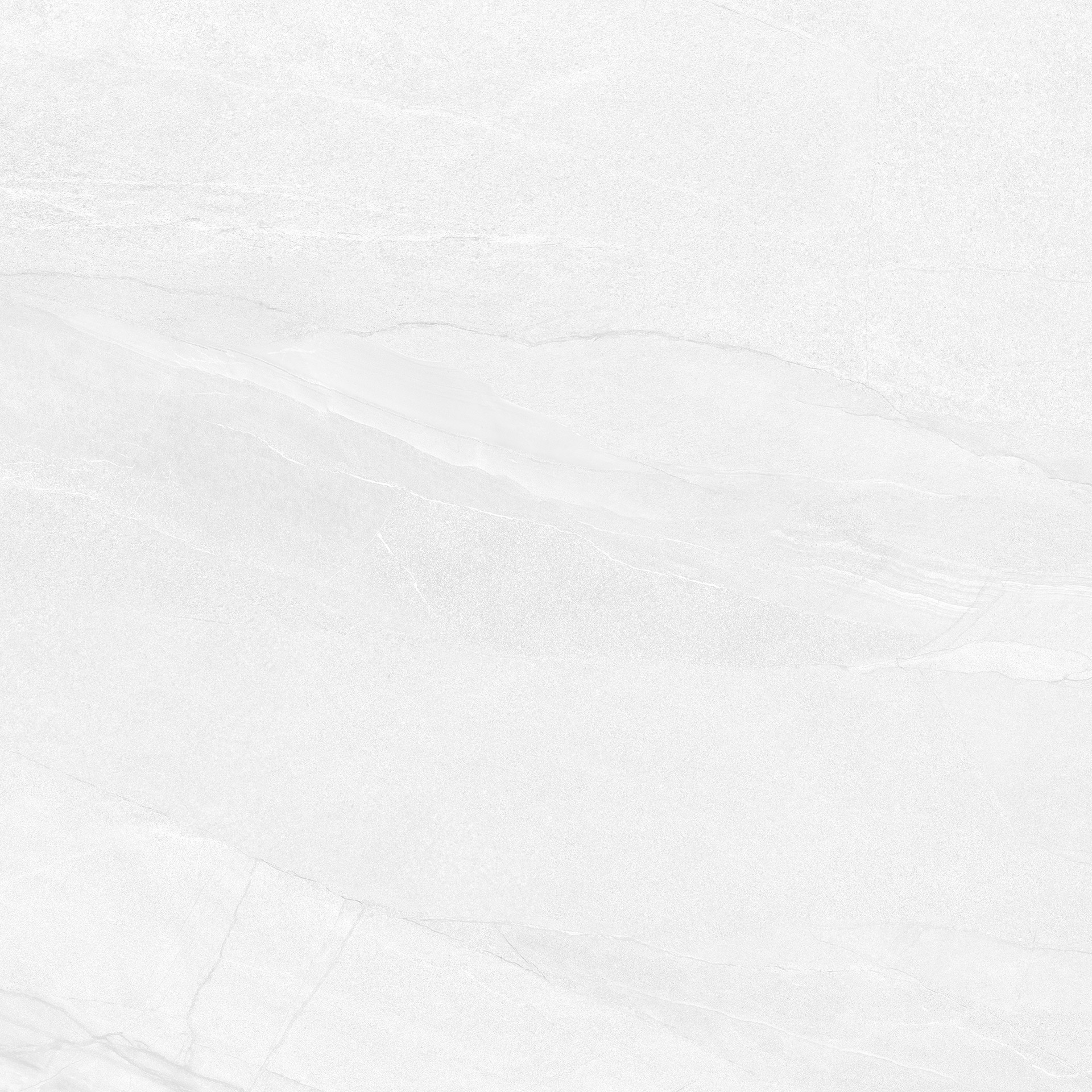 Halley White | Porcemall