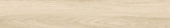 Venice Sand 5mm 20mil | Porcemall